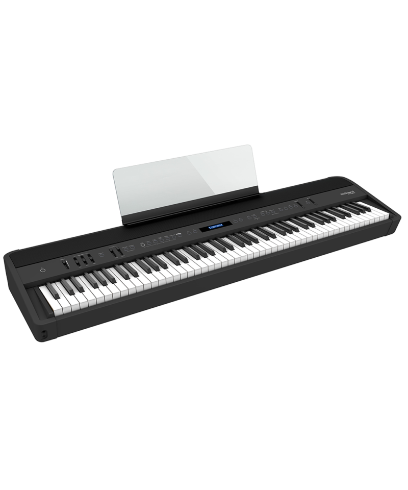 Roland FP-90X kaufen - München, Stuttgart, Ulm