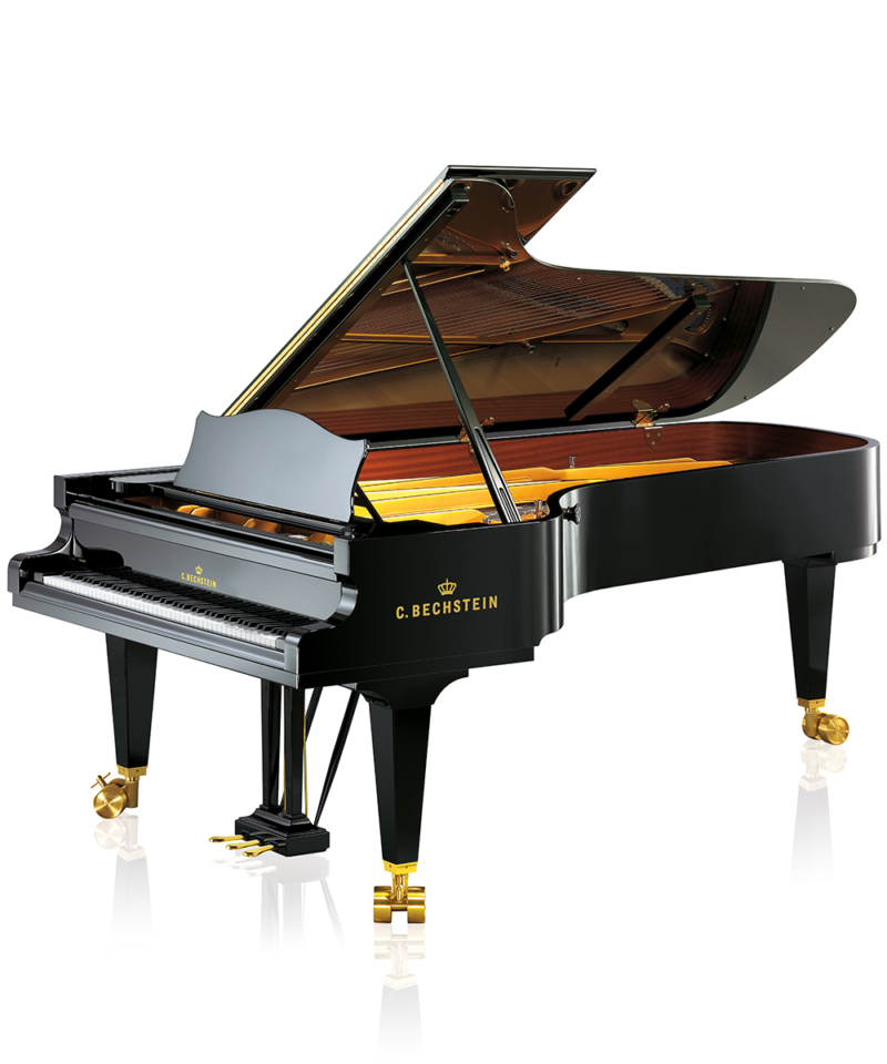 C. Bechstein Concert D 282 Vario