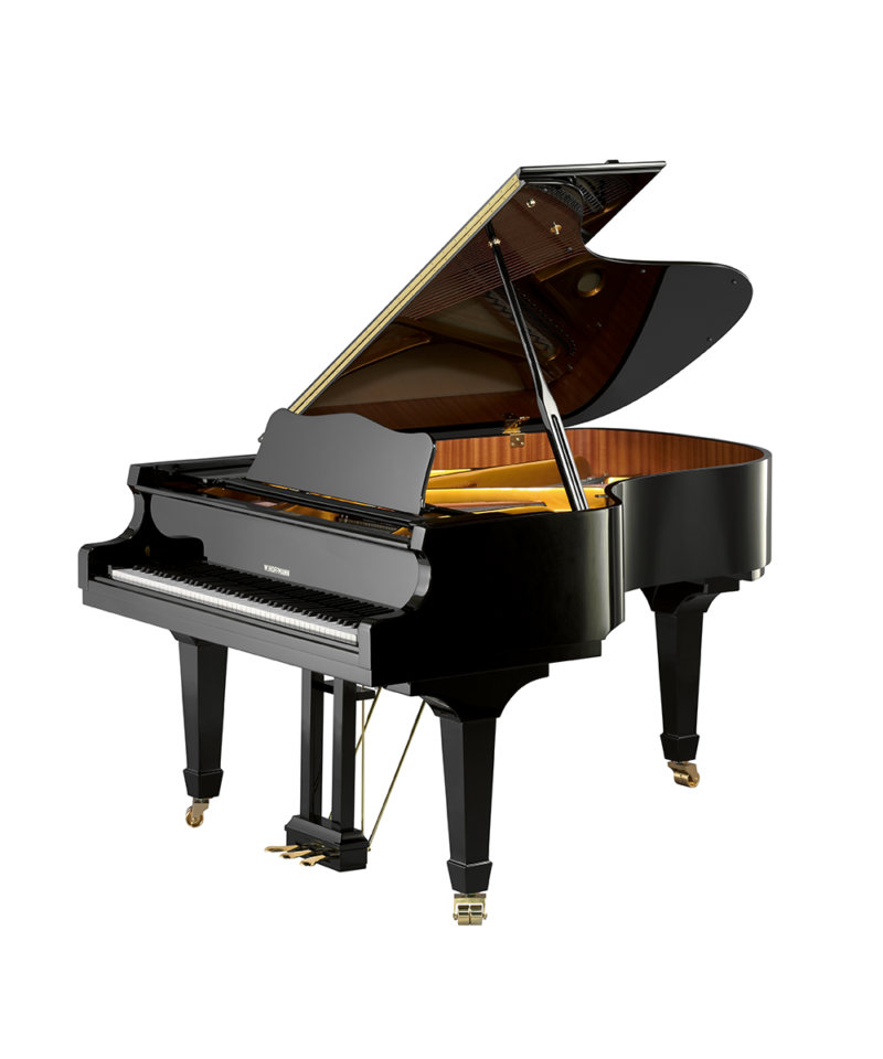 W. Hoffmann Vision V-175