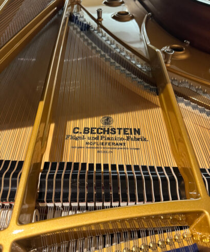 C. Bechstein Concert D 282 (gebraucht)