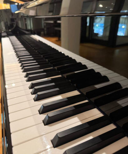 C. Bechstein Concert D 282 (gebraucht)