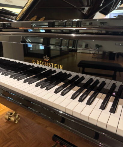 C. Bechstein Concert D 282 (gebraucht)
