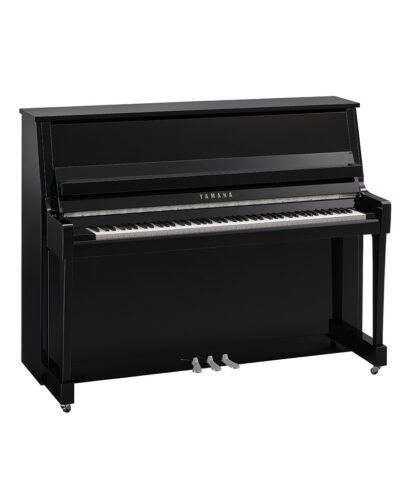 Yamaha B20
