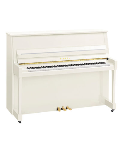 Yamaha B20