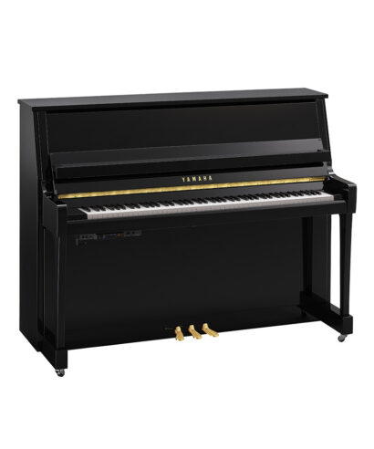 Yamaha B20 TC3