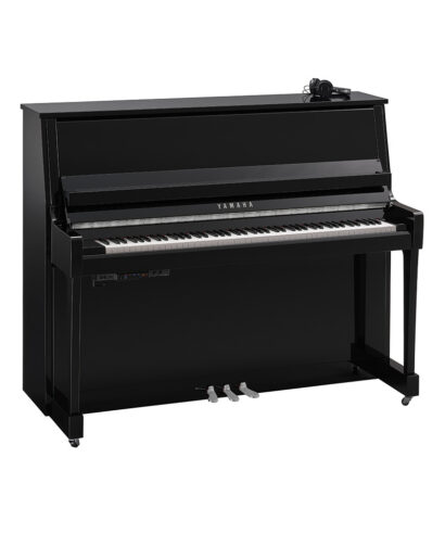 Yamaha B30 SC3