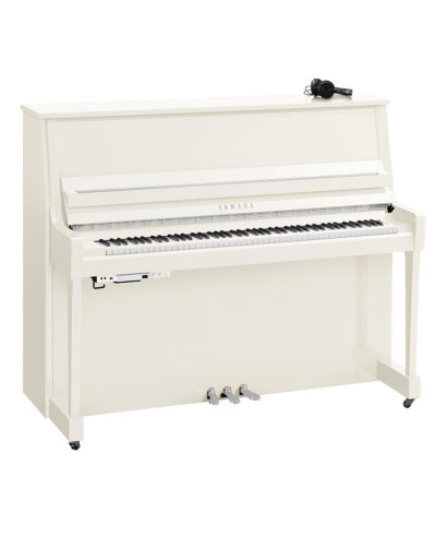 Yamaha B30 SC3