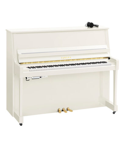 Yamaha B30 SC3