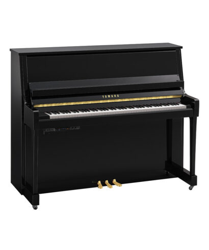 Yamaha B30 TC3