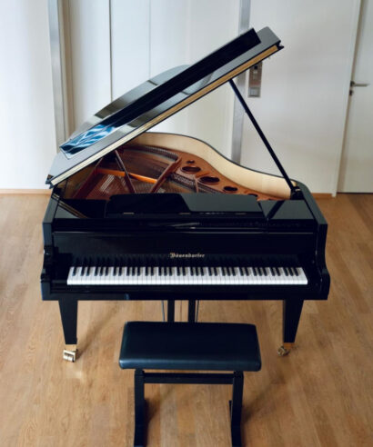 Bösendorfer Modell 170 (gebraucht)