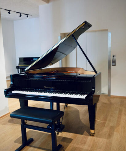 Bösendorfer Modell 170 (gebraucht)