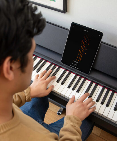 Roland F107