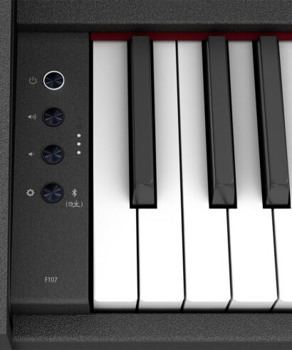 Roland RP-107