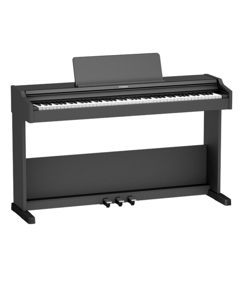 Roland RP-107