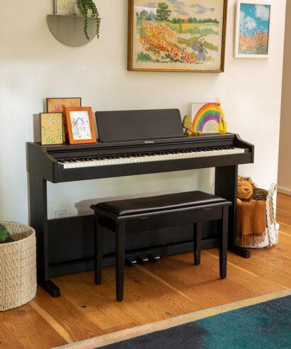 Roland RP-107