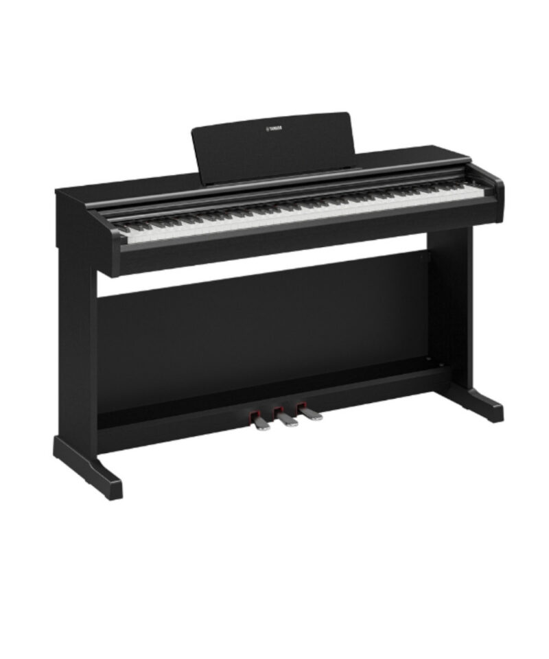 Yamaha Arius YDP-146