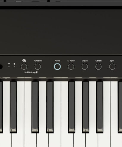 Roland FP-40-Panel ROLAND FP-40 - schwarz