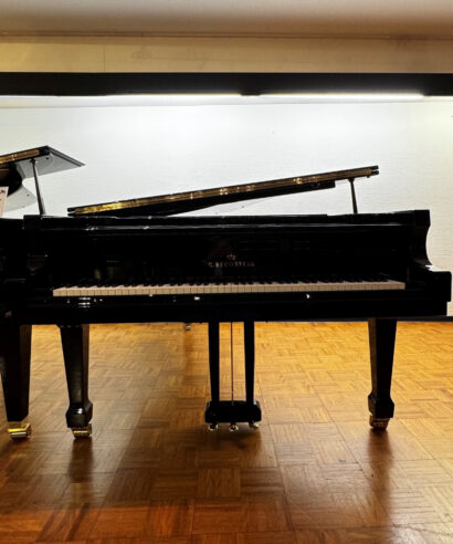 C.Bechstein A-228 (gebraucht)
