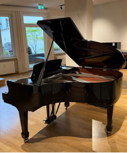 Hoffmann P162 silver edition gebr. München W.Hoffmann P 162 Silver Edition (gebraucht)