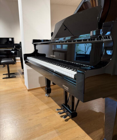 Hoffmann P162 silver edition gebr. München Klaviatur W.Hoffmann P 162 Silver Edition (gebraucht)