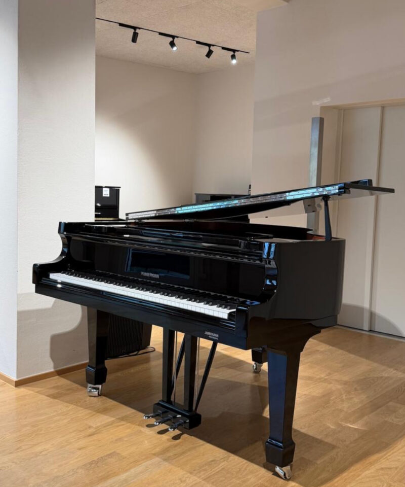Hoffmann P162 silver edition gebr. München Produktbild W.Hoffmann P 162 Silver Edition (gebraucht)