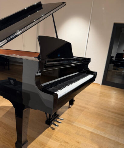 Hoffmann P162 silver edition gebr. München Seite W.Hoffmann P 162 Silver Edition (gebraucht)