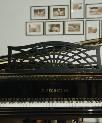 Bechstein B-203 (gebraucht)
