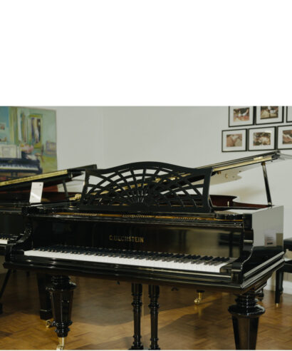 Bechstein B-203 (gebraucht)