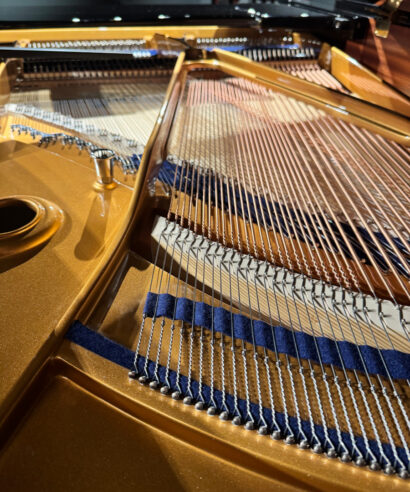 Bechstein L-167 vario MUC gebr.Gussplatte C.Bechstein L-167 Vario (gebraucht)